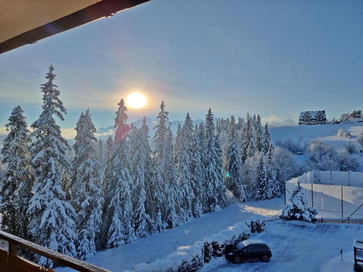Willabukovinka - Bliskosc Lasu, Wyciagow I Term, Atrakcje Dla Dzieci, Znizki Na Wyciagi, Termy, Karczmy I Atrakcje Bukowina Tatrzańska Exterior foto